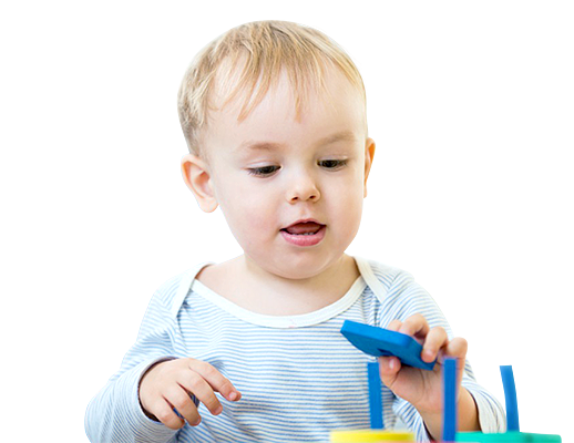 ������ ��������